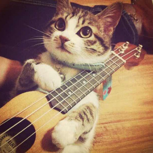 乱人妻人伦中文字幕
