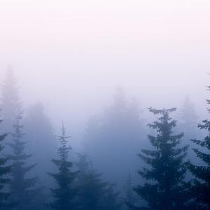 乱人妻人伦中文字幕
